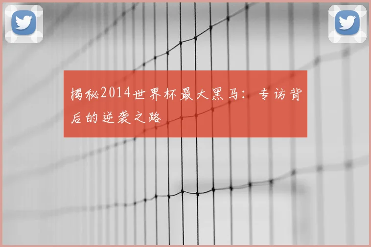 揭秘2014世界杯最大黑马:专访背后的逆袭之路