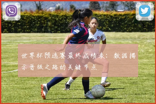 世界杯预选赛最终成绩表:数据揭示晋级之路的关键节点