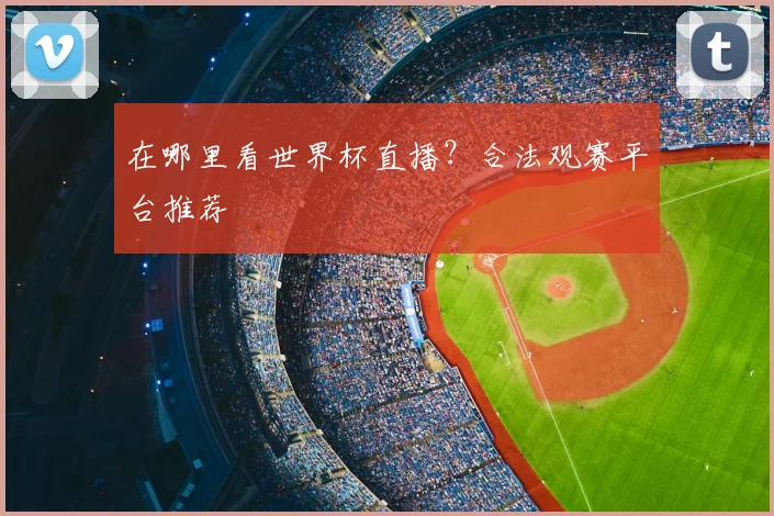 在哪里看世界杯直播?合法观赛平台推荐