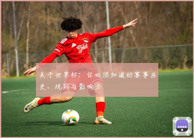 关于世界杯:你必须知道的赛事历史、规则与影响力