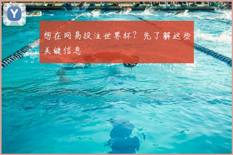 想在网易投注世界杯?先了解这些关键信息