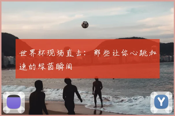 世界杯现场直击:那些让你心跳加速的绿茵瞬间