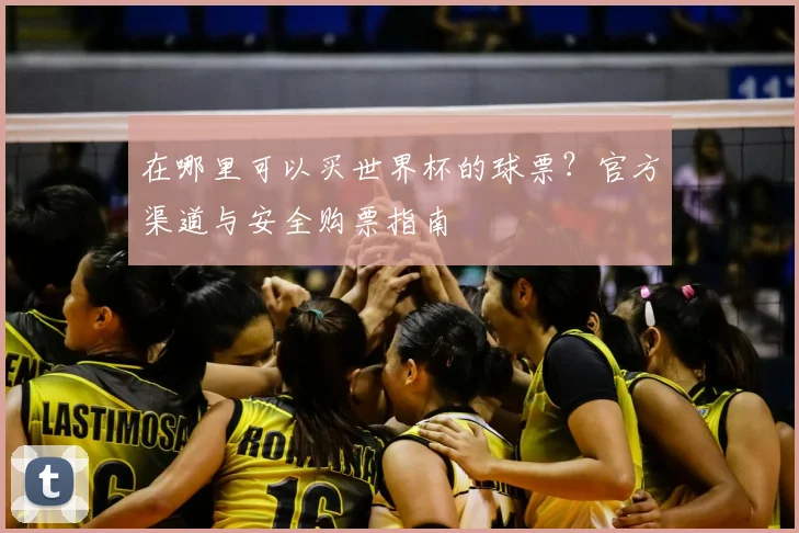 在哪里可以买世界杯的球票?官方渠道与安全购票指南