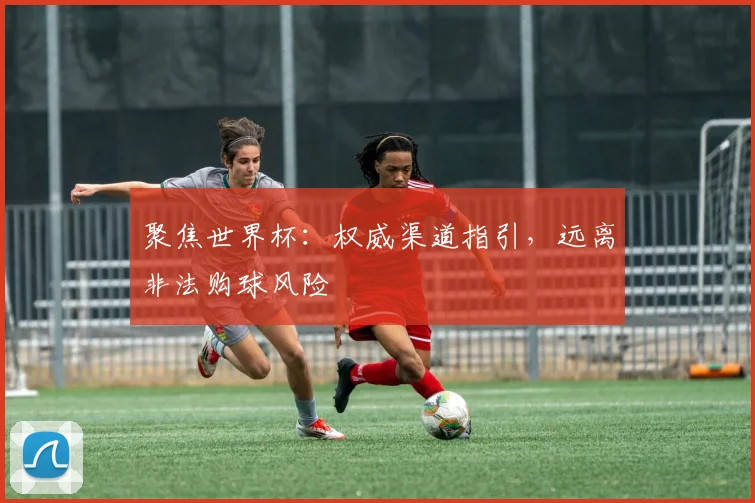 聚焦世界杯：权威渠道指引，远离非法购球风险