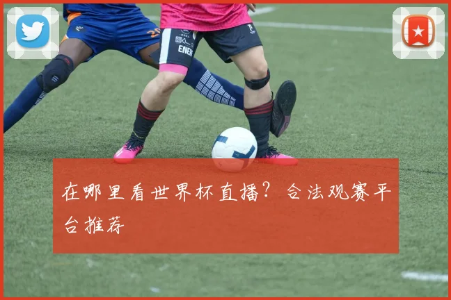 在哪里看世界杯直播?合法观赛平台推荐