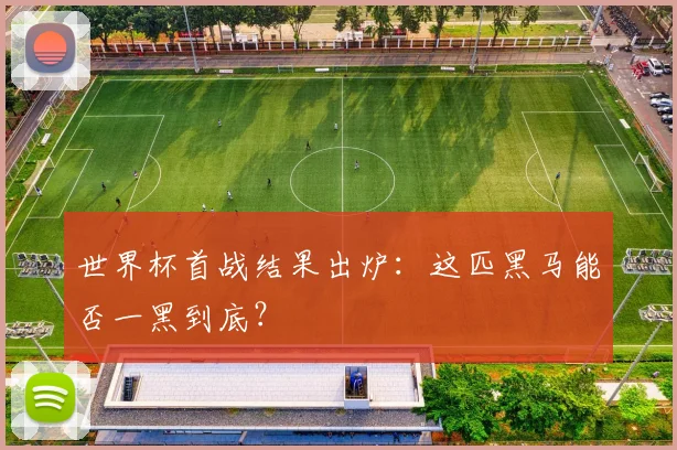 世界杯首战结果出炉：这匹黑马能否一黑到底？