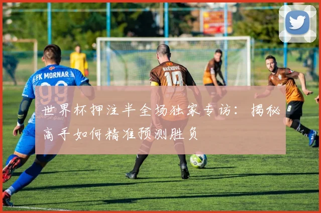世界杯押注半全场独家专访：揭秘高手如何精准预测胜负