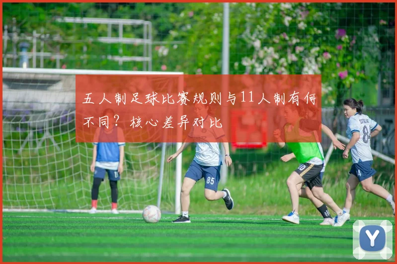 五人制足球比赛规则与11人制有何不同?核心差异对比